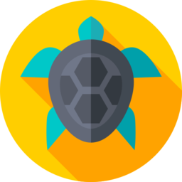 isabelaturismoaccesible.pages.dev favicon